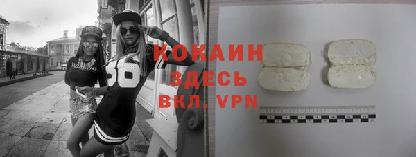 СК Богородск