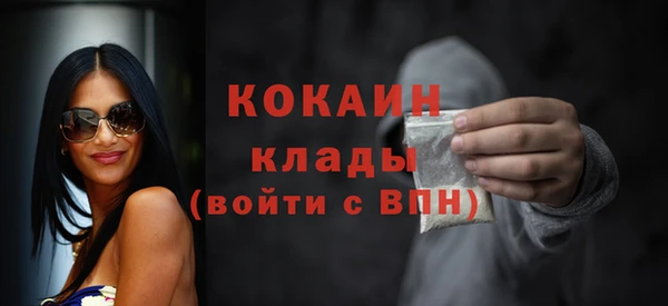 соль ск Богданович