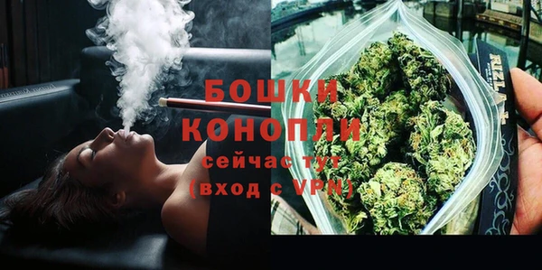 СК Богородск