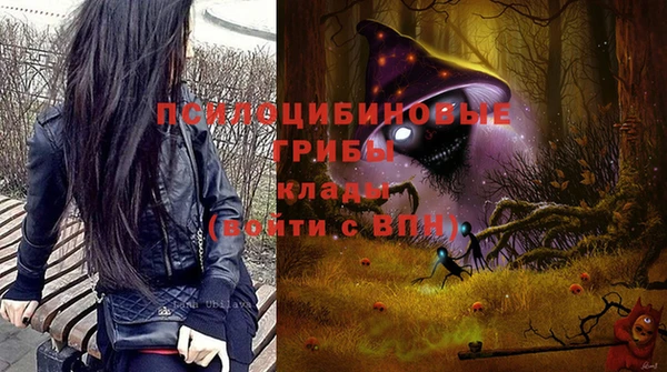 СК Богородск