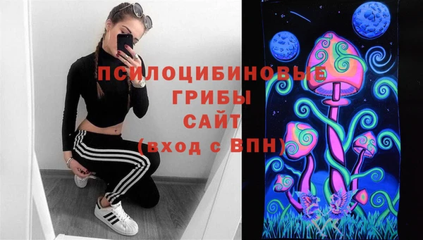 соль ск Богданович