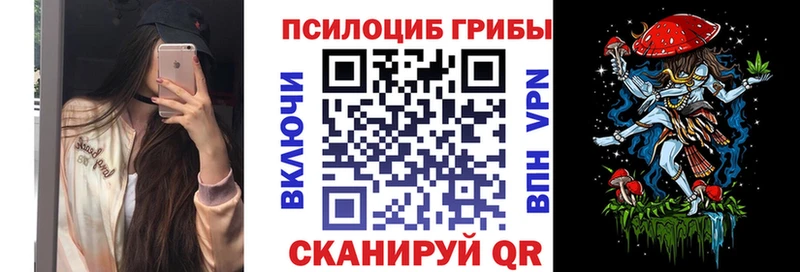Галлюциногенные грибы Psilocybe  где можно купить наркотик  Дубна 