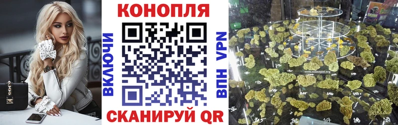 Бошки Шишки ГИДРОПОН  цена   MEGA зеркало  Дубна 